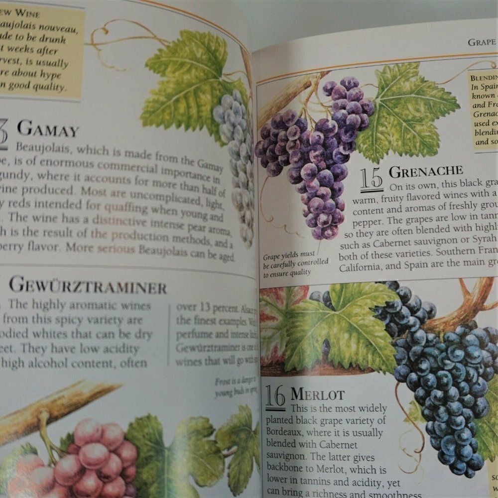 Wine 101 Essential Tips DK Books 2003 Color Paperback - Picture 6 of 7
